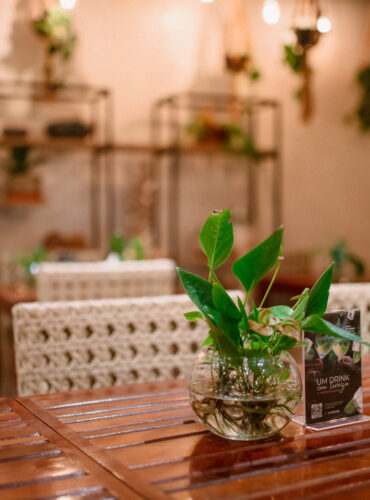 Ambiente Restaurante Levissímo